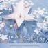 PraiseCarols (Vol. 1)