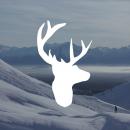 Reckless Love (YouTube)