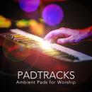 Liquid Organ Pad Tracks (Major Keys)