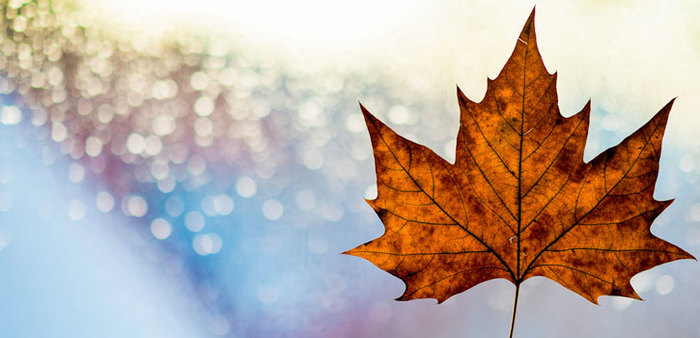 9d58a34e c8ff 11e9 8111 008cfa043684