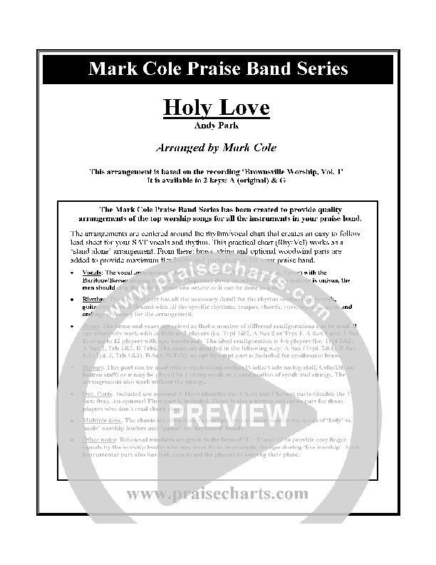 Holy Love Cover Sheet (Andy Park)