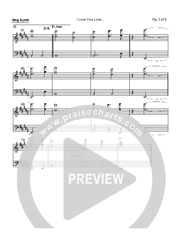 I Love Your Love Synth Strings (Paul Oakley)