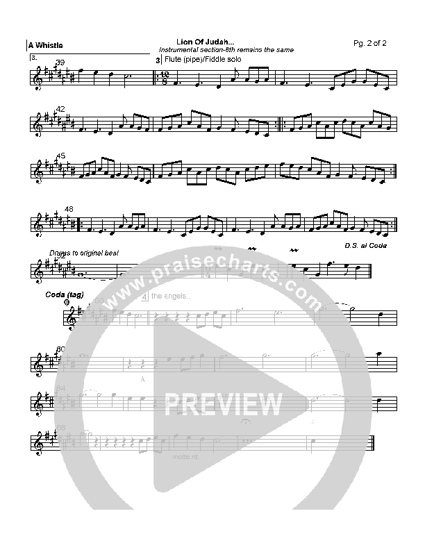 Lion Of Judah Pennywhistle (Robin Mark)