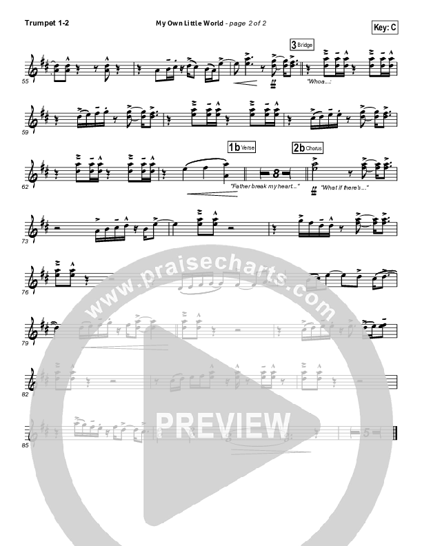 My Own Little World Trumpet 1,2 (Matthew West)