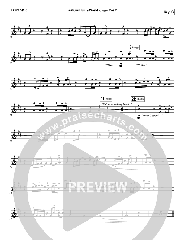 My Own Little World Trumpet 3 (Matthew West)
