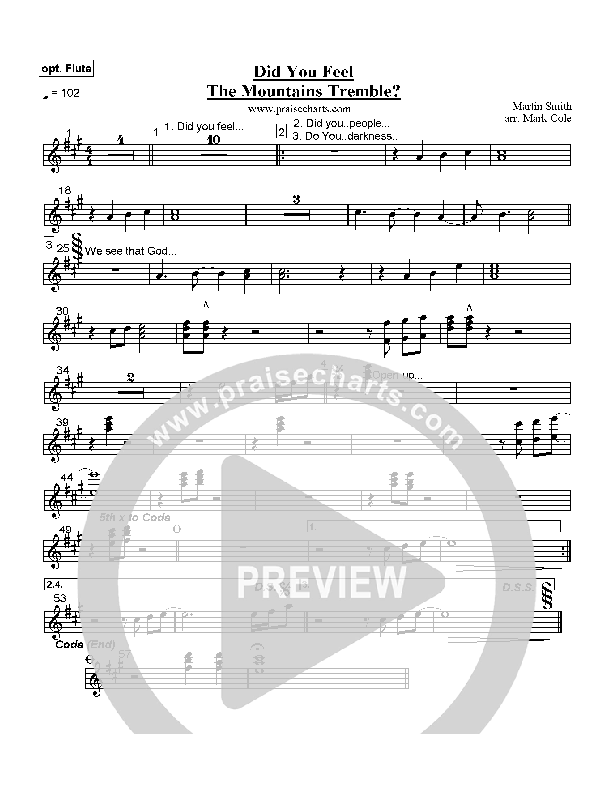 Did You Feel the Mountains Tremble Flute (Delirious / Passion)