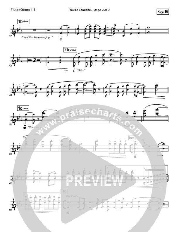 You're Beautiful Wind Pack (Phil Wickham)