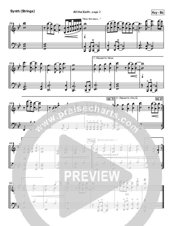 All The Earth Synth Strings (Parachute Band)