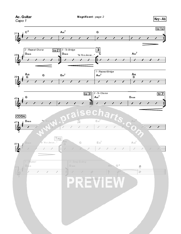 Magnificent Acoustic Guitar (Hillsong Worship)