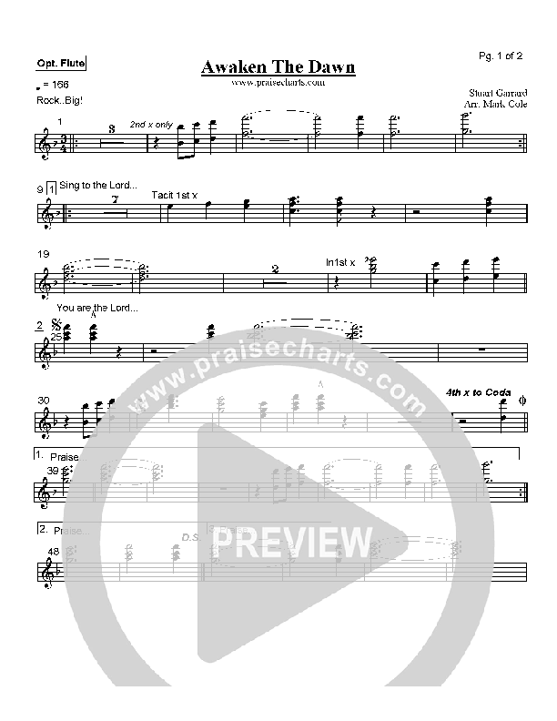 Awaken the Dawn Orchestration (Delirious)