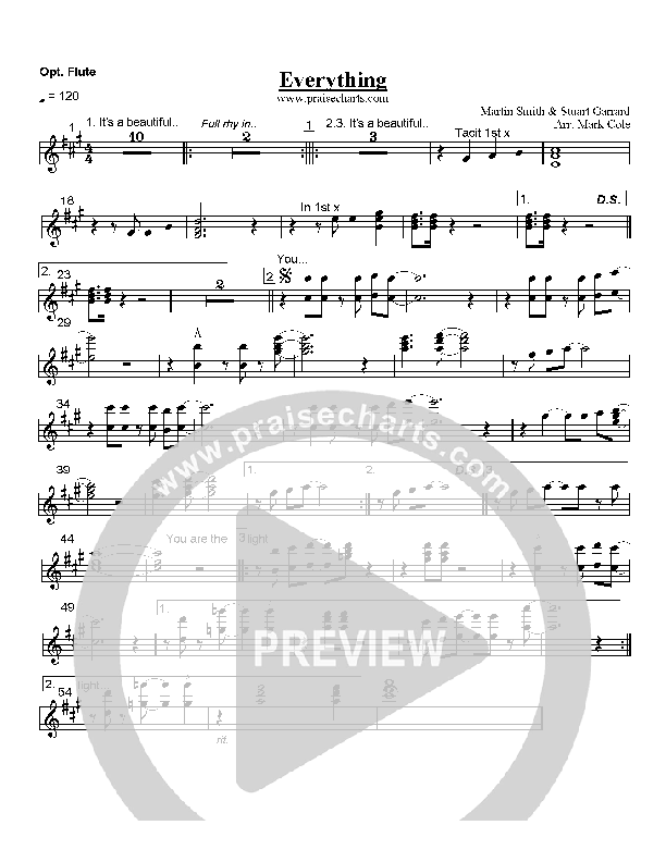 Everything Flute (Delirious)