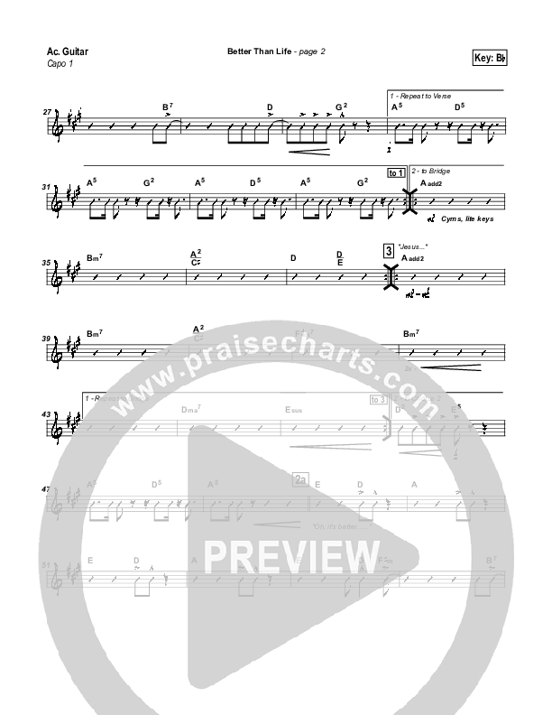 Better Than Life Acoustic Guitar (Travis Cottrell)