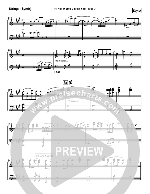 I'll Never Stop Loving You Synth Strings (Lakewood Church)