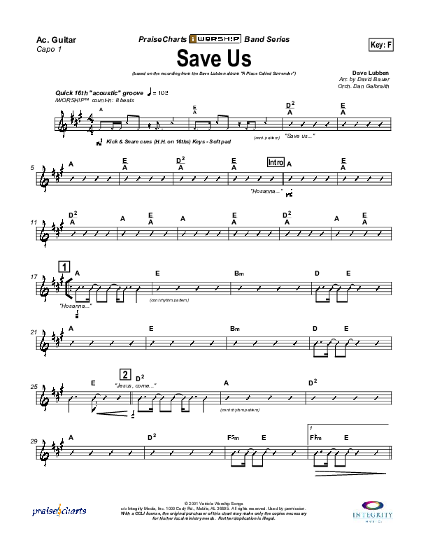 Save Us Acoustic Guitar (Dave Lubben)