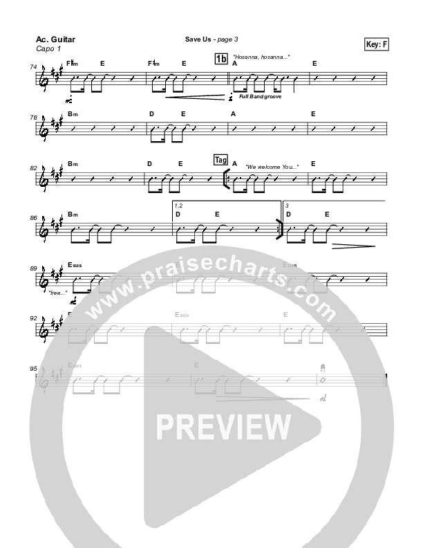 Save Us Acoustic Guitar (Dave Lubben)