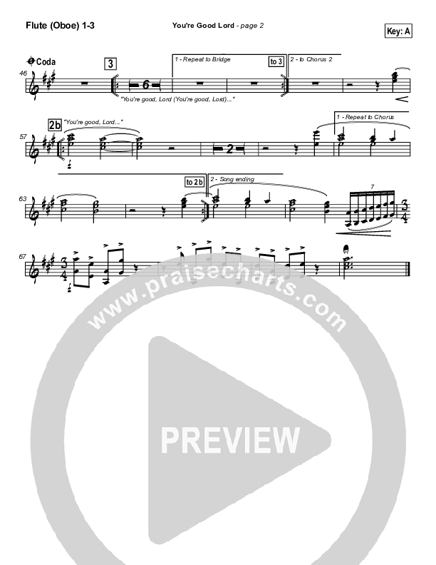 You're Good Lord Flute/Oboe 1/2/3 (Michael Neale)