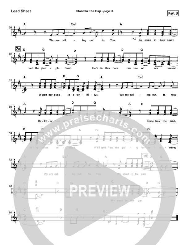 Stand In the Gap Lead Sheet (Michael Neale)