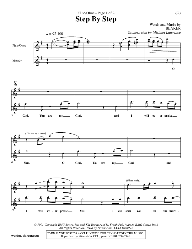 Step By Step Flute/Oboe (David Strasser)