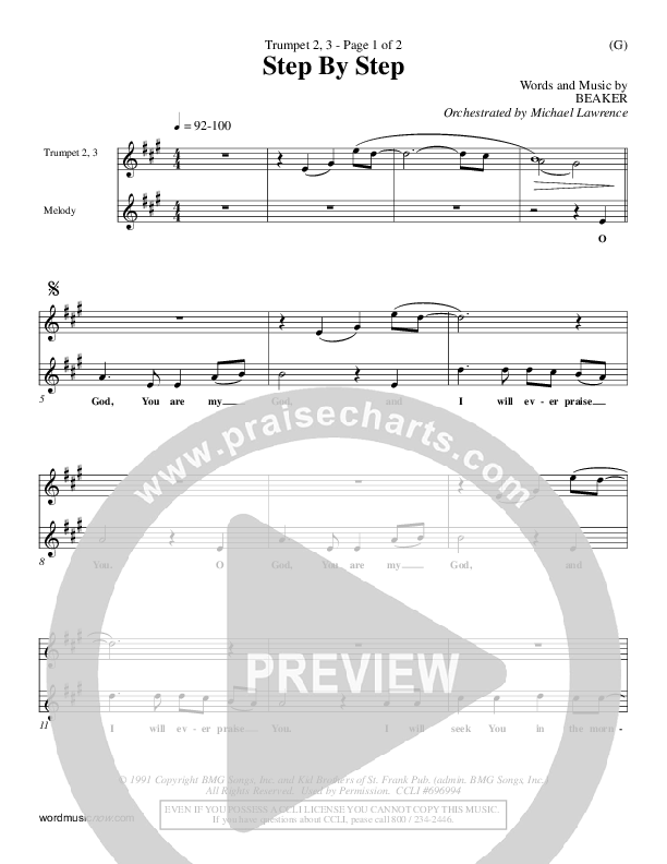 Step By Step Trumpet 2/3 (David Strasser)