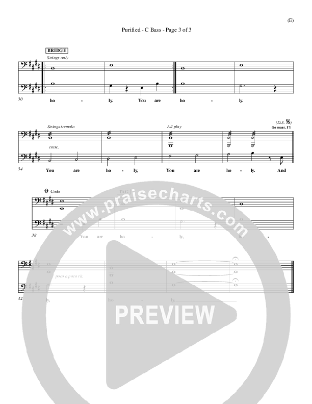 Purified Contrabass (Michael W. Smith)