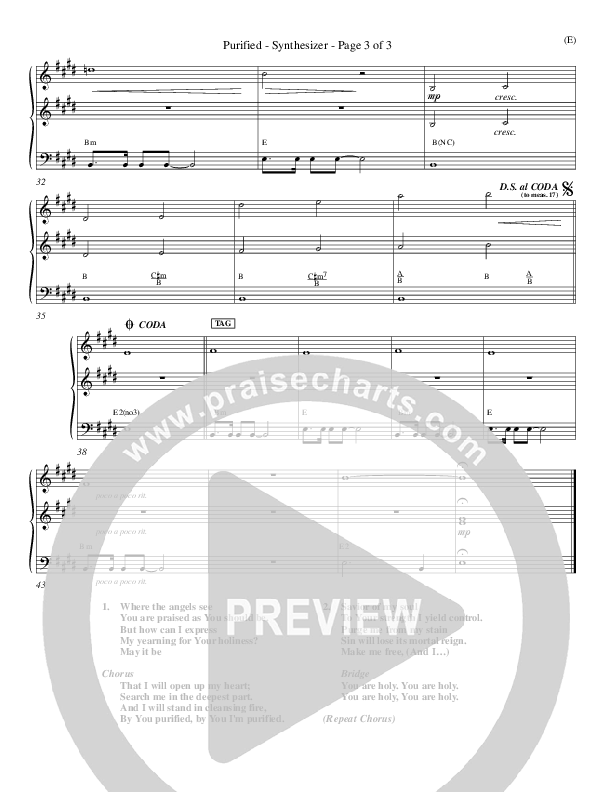 Purified Synth (Michael W. Smith)