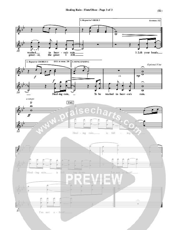 Healing Rain Flute/Oboe (Michael W. Smith)