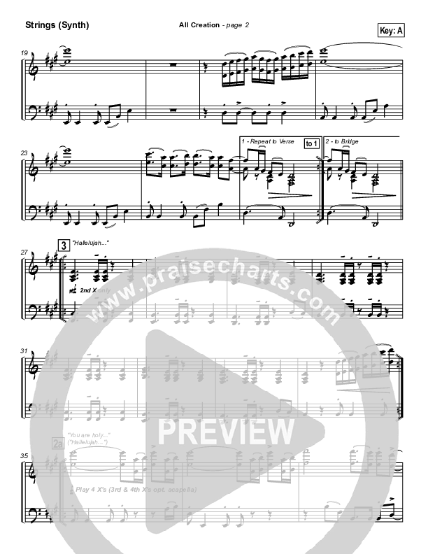 All Creation Synth Strings (New Life Worship)