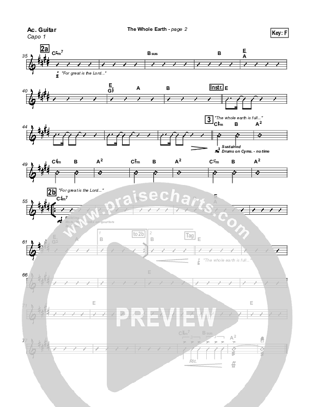 The Whole Earth Acoustic Guitar (New Life Worship)