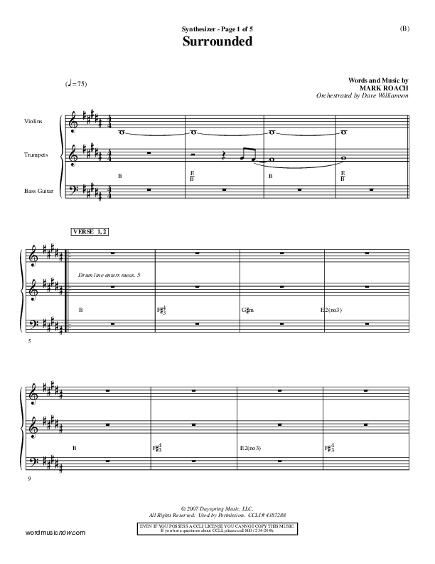 Surrounded Synth (Mark Roach)