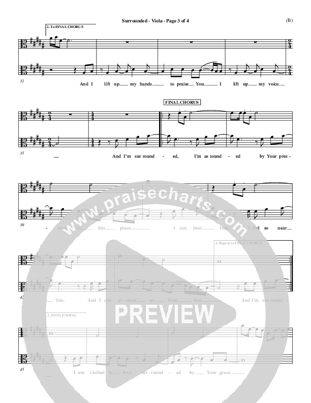 Surrounded Viola (Mark Roach)