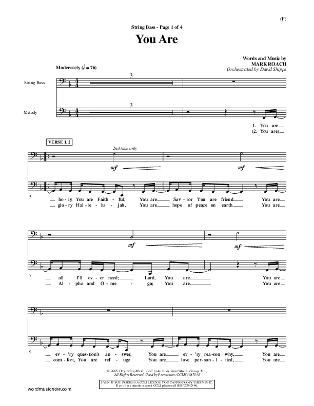 You Are Double Bass (Mark Roach)