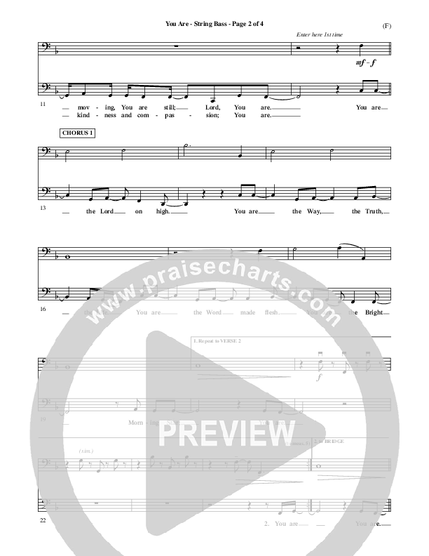 You Are Double Bass (Mark Roach)