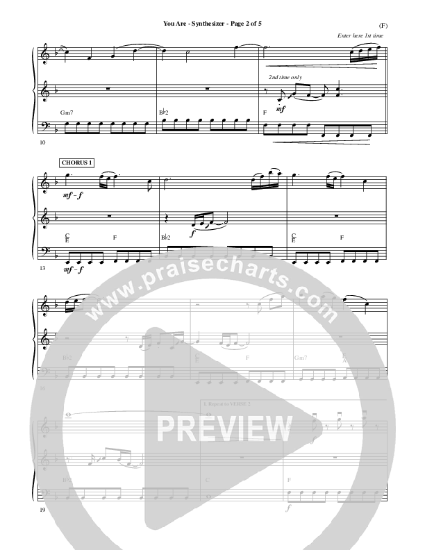 You Are Synth (Mark Roach)