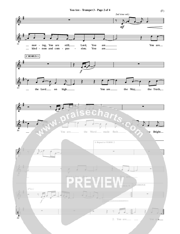 You Are Trumpet 3 (Mark Roach)