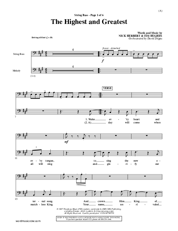 The Highest And The Greatest Double Bass (Tim Hughes)