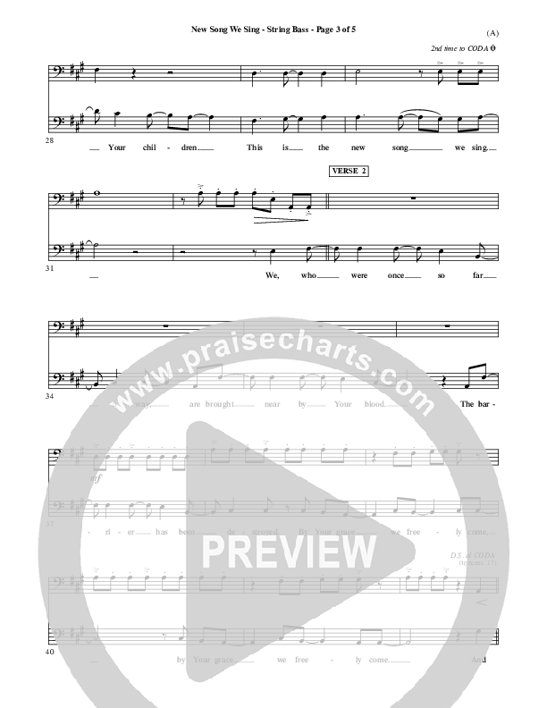 New Song We Sing Double Bass (Meredith Andrews)