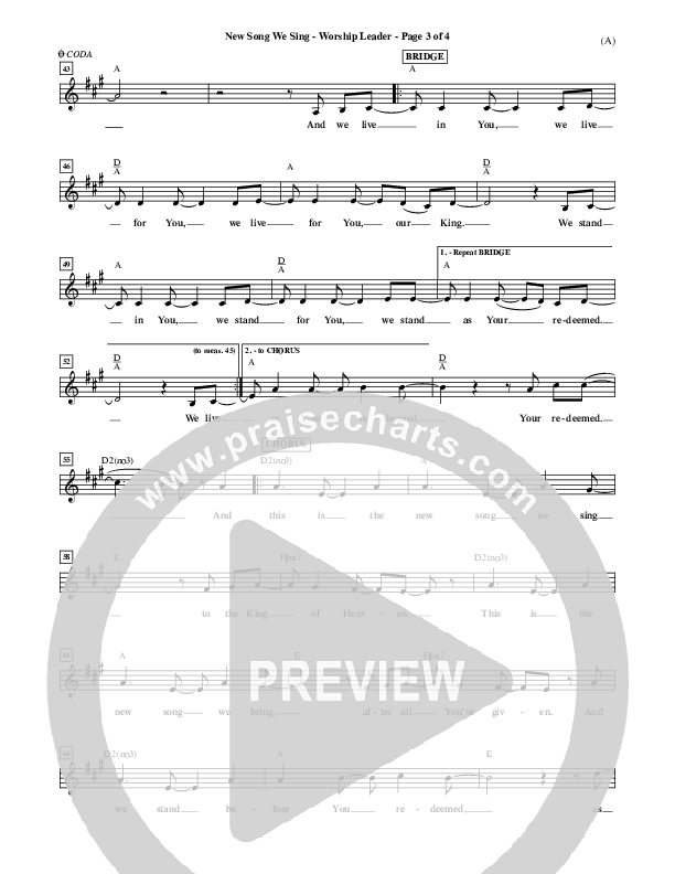New Song We Sing Lead Sheet (Meredith Andrews)
