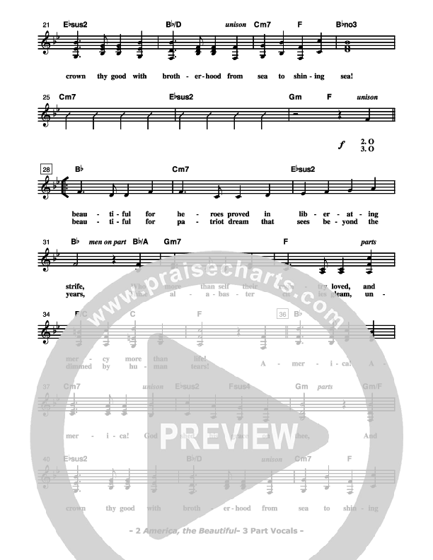 Freedom's Holy Light - Patriotic Service Guide Lead Sheet (SAT) (Don Chapman)