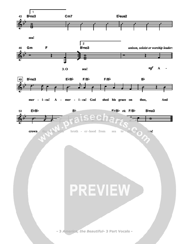 Freedom's Holy Light - Patriotic Service Guide Lead Sheet (SAT) (Don Chapman)