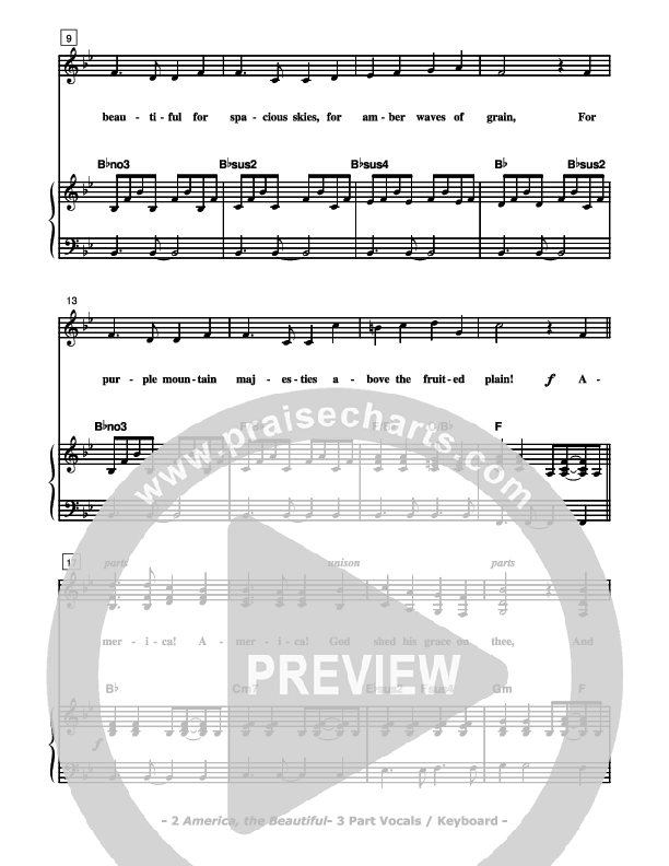 Freedom's Holy Light - Patriotic Service Guide Piano/Vocal (SAT) (Don Chapman)