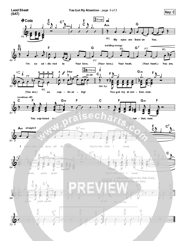 You Got My Attention Lead Sheet (SAT) (Dara Maclean)