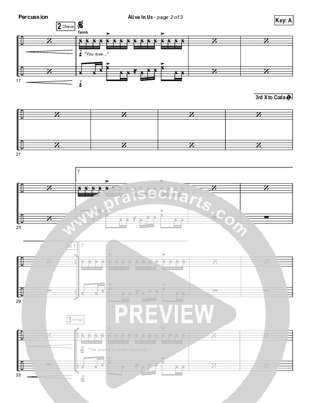 Alive In Us Percussion (Hillsong Worship)