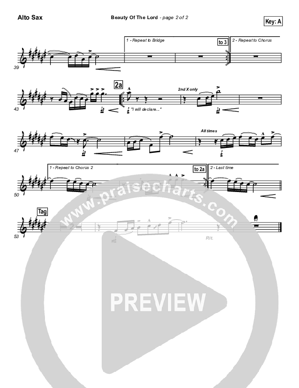 Beauty Of The Lord Alto Sax (Desperation Band)