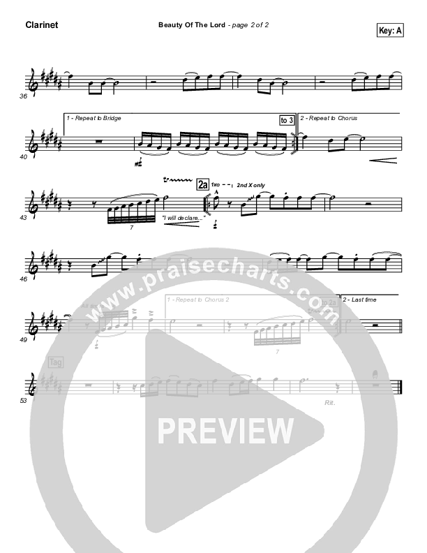 Beauty Of The Lord Clarinet (Desperation Band)