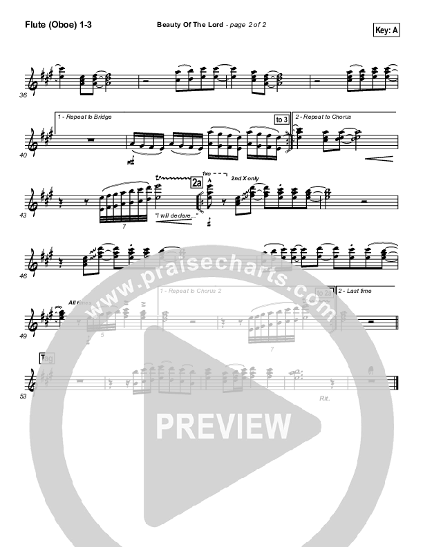 Beauty Of The Lord Wind Pack (Desperation Band)