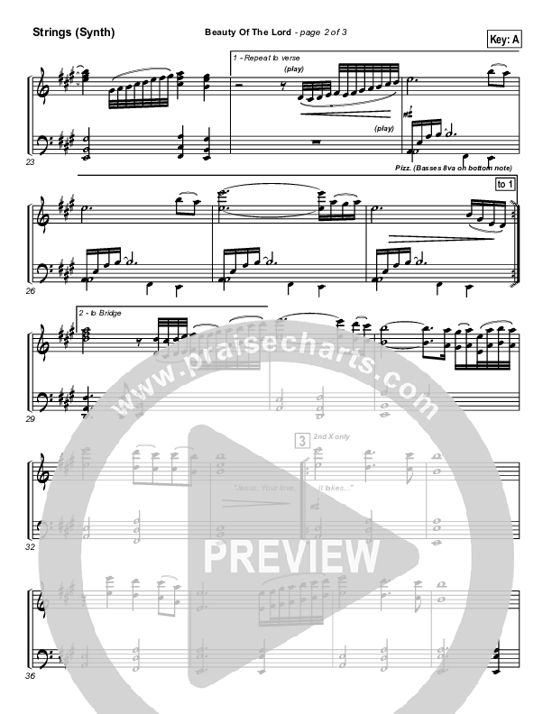 Beauty Of The Lord Synth Strings (Desperation Band)