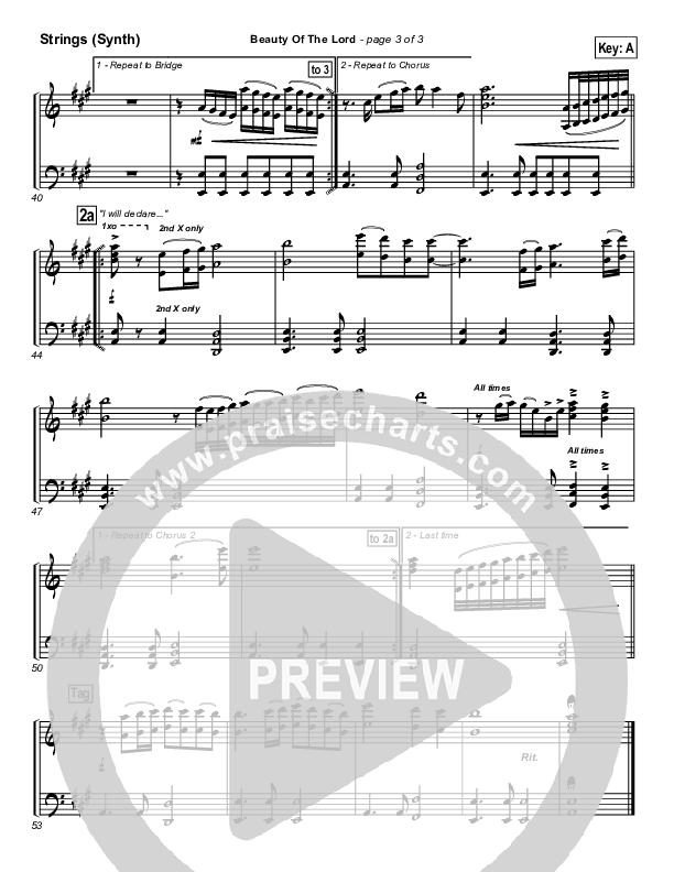 Beauty Of The Lord Synth Strings (Desperation Band)