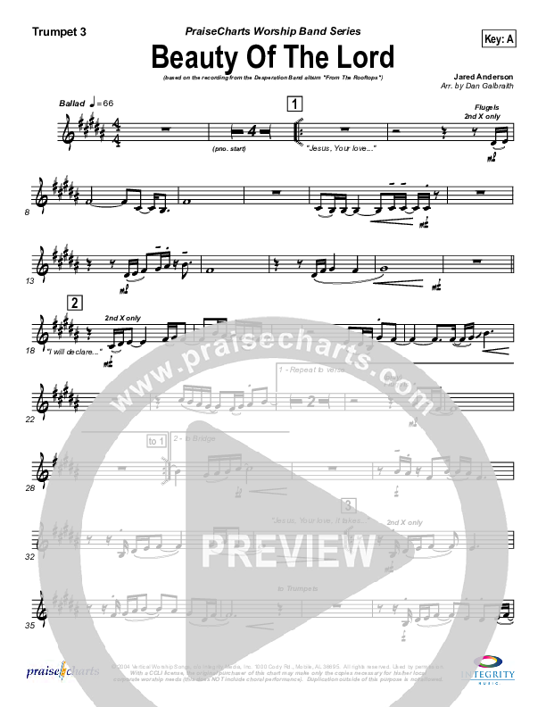 Beauty Of The Lord Trumpet 3 (Desperation Band)