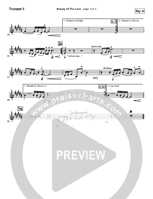 Beauty Of The Lord Trumpet 3 (Desperation Band)