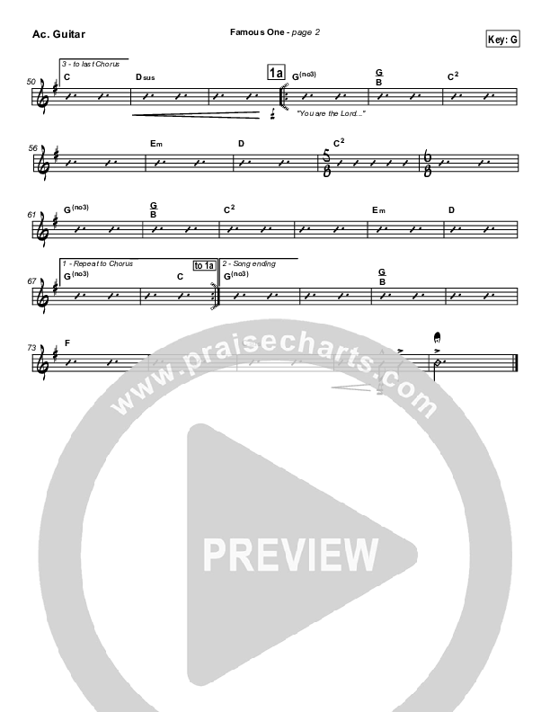 Famous One Acoustic Guitar (Chris Tomlin / Passion)